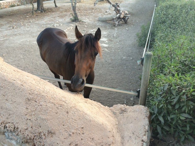 Agroturismo in Mallorca