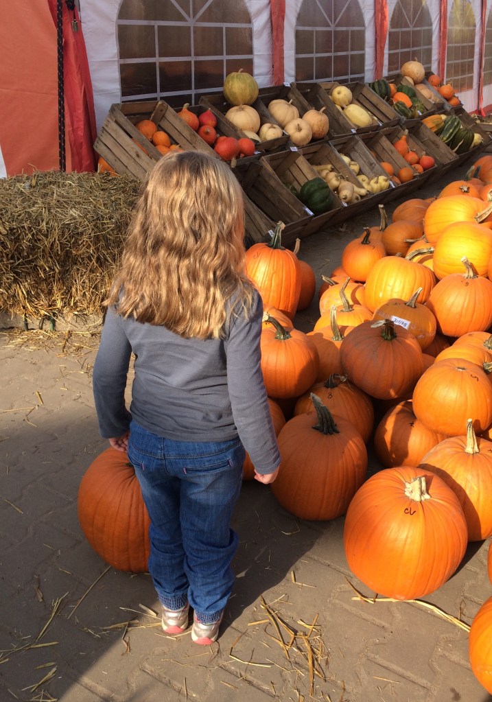 Warsaw pumpkin patch